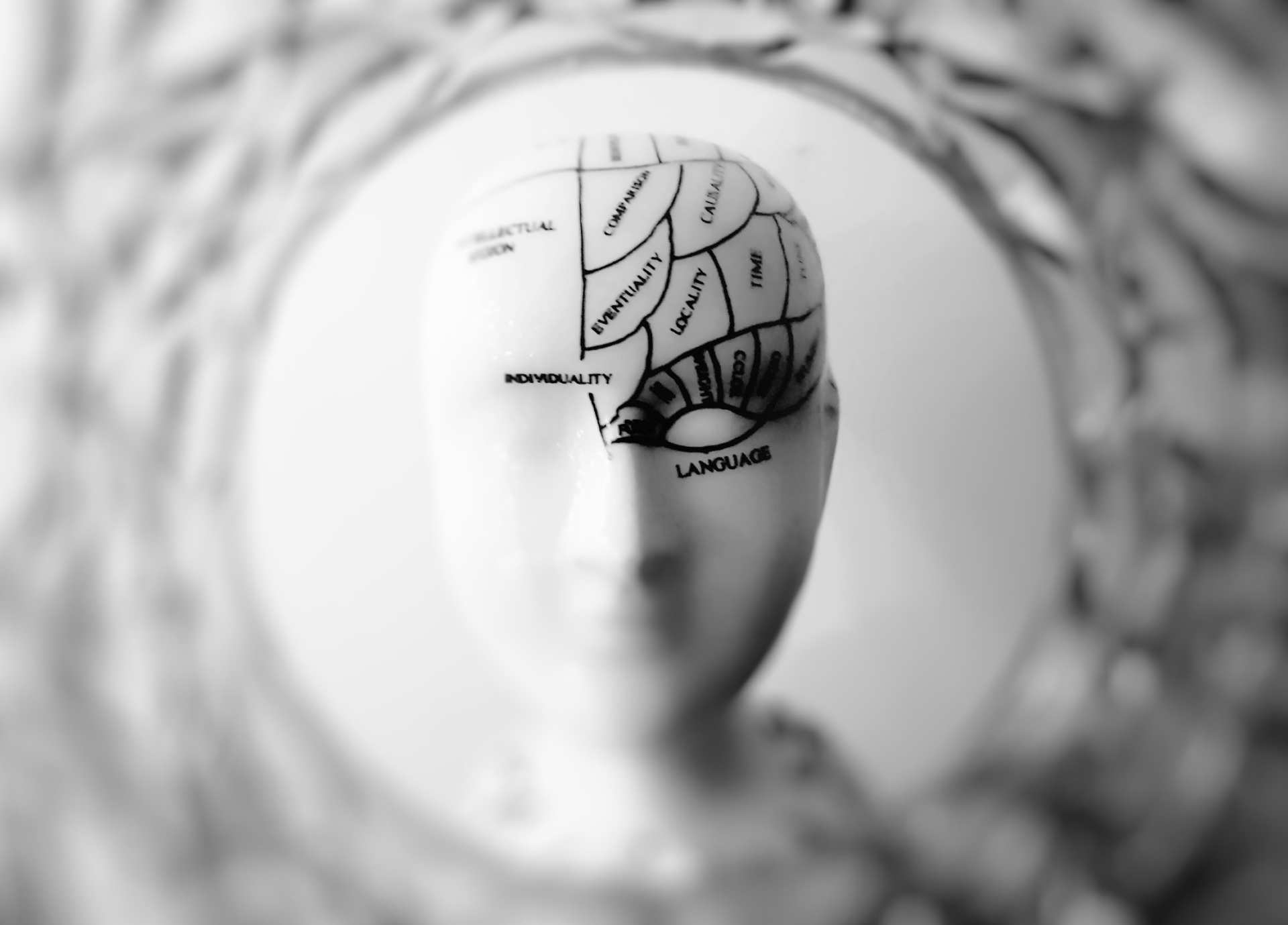 cara esqueleto anatomia cabeza humana conciencia maniqui blanco negro