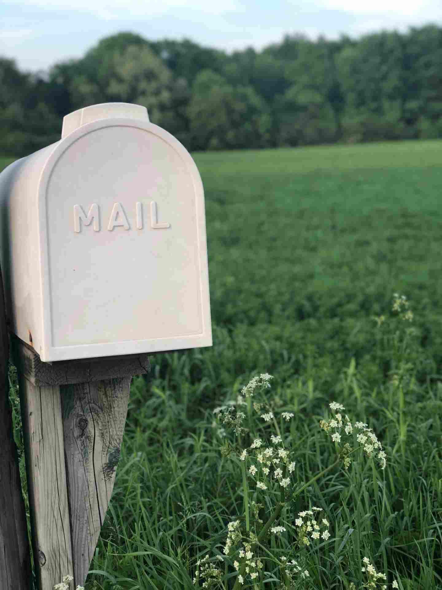 correo buzon mail en el campo prado verde